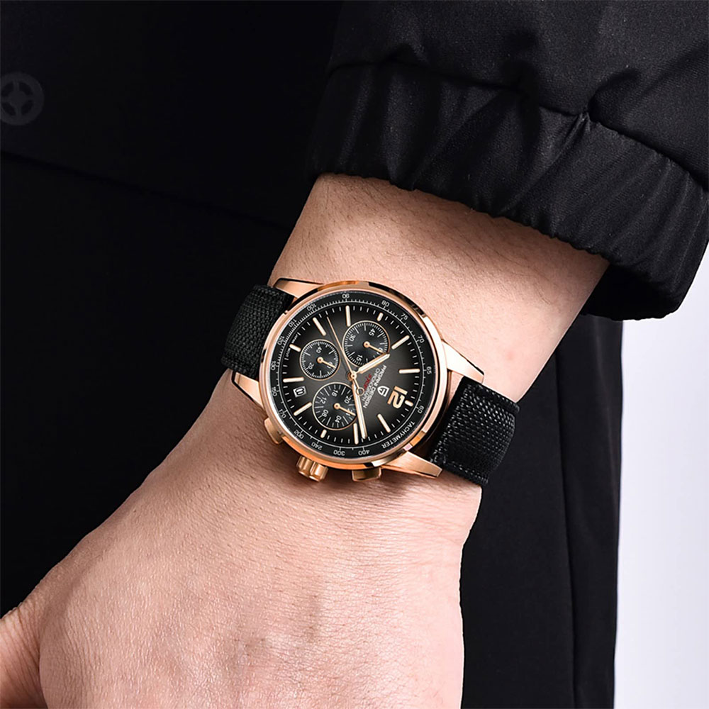 PAGANI DESIGN New Mens Watch 4 - огляд і ціна Luxury Watch Logo